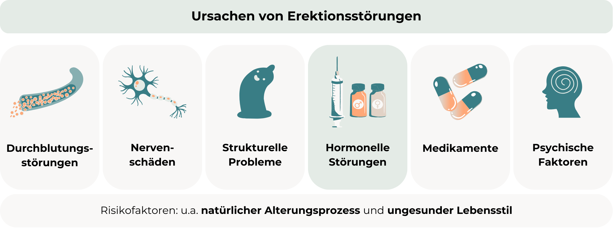 Ursachen und Behandlung von Erektionsstörungen